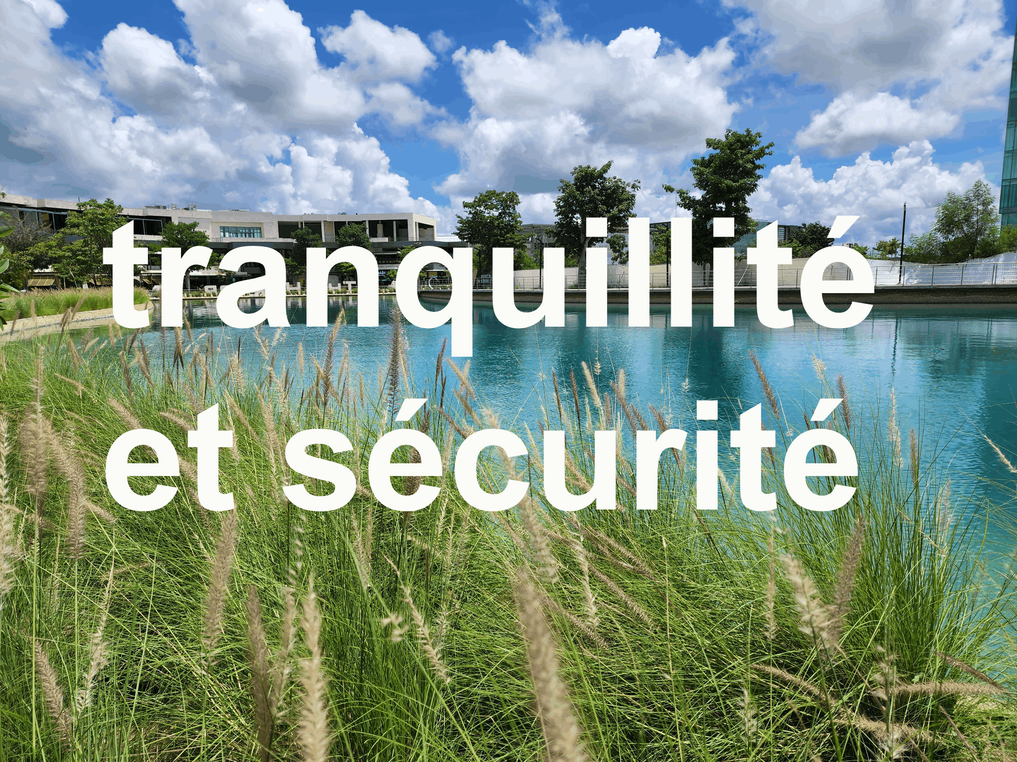 la-ciudad-mas-tranquila-de-mexico-es-merida